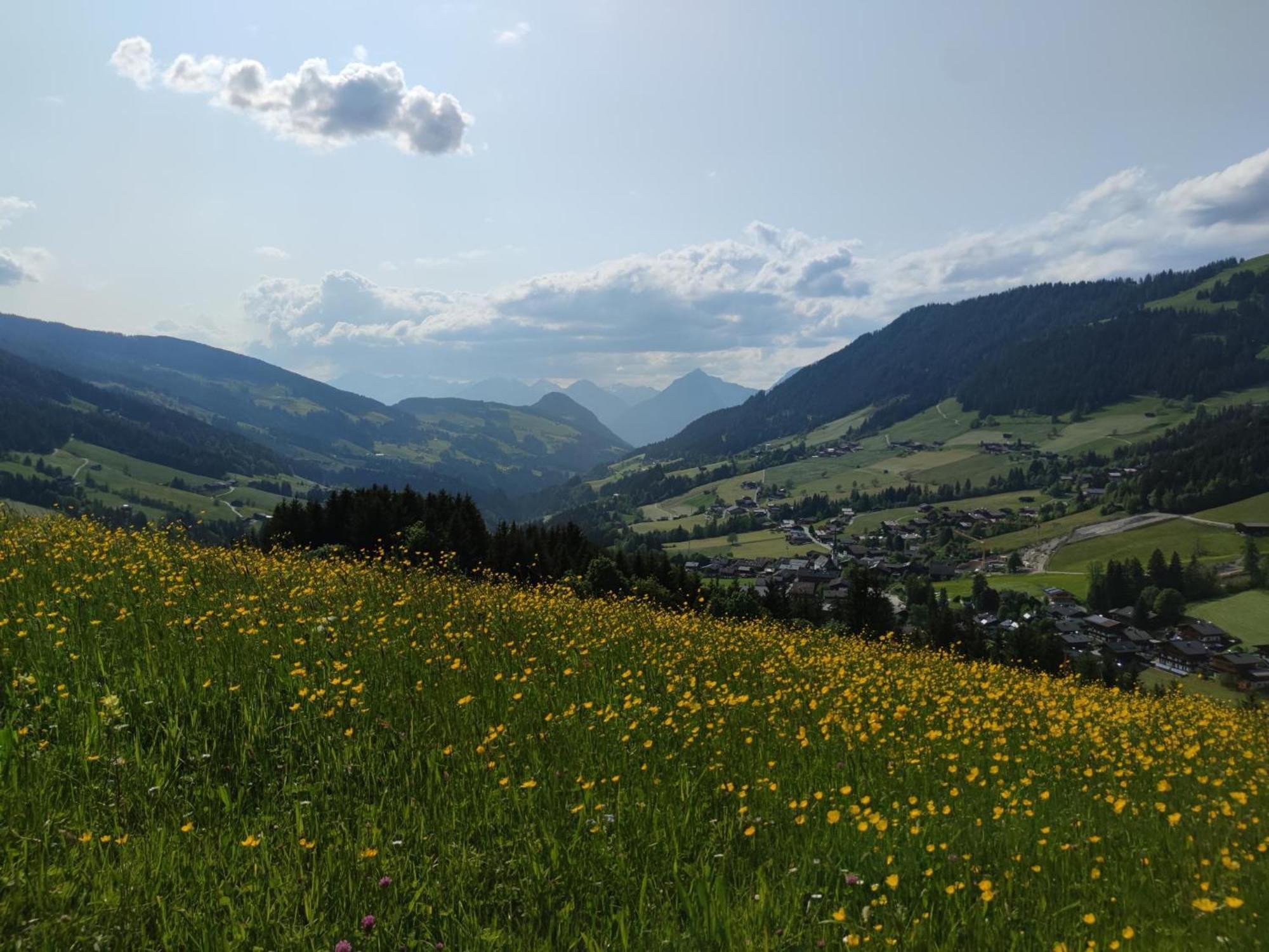 Chalet Mountain View Alpbach Esterno foto